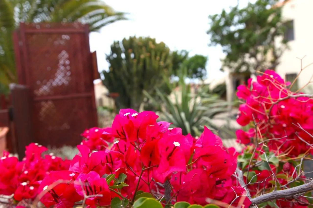 Apartamento Lomas Caleta De Fuste Hotel 0*,  Spain