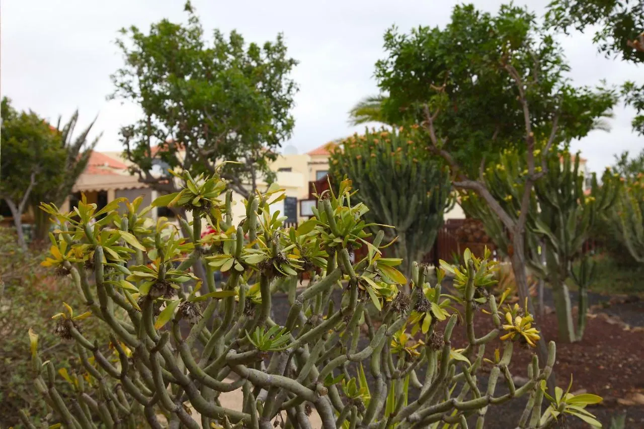 Apartamento Lomas Caleta De Fuste Hotel
